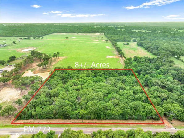 Tbd Fm 773, Ben Wheeler, TX 75754