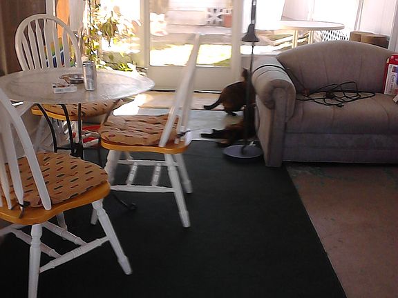 10x 20 Lanai