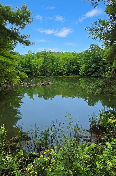 1st image of Double Dam Rd