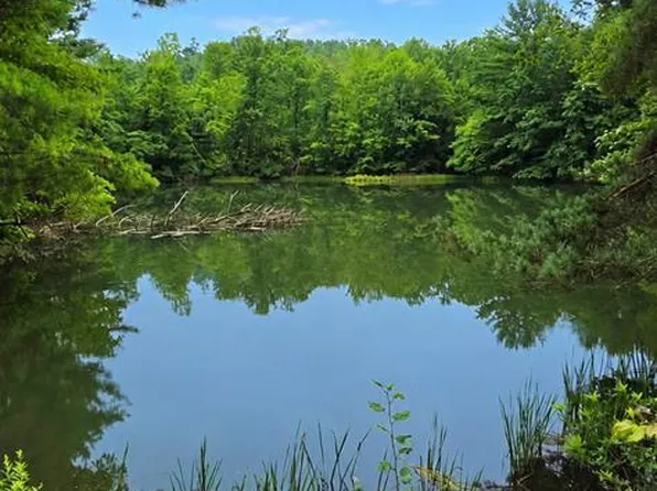 Double Dam Rd, Northern Cambria, PA 15714