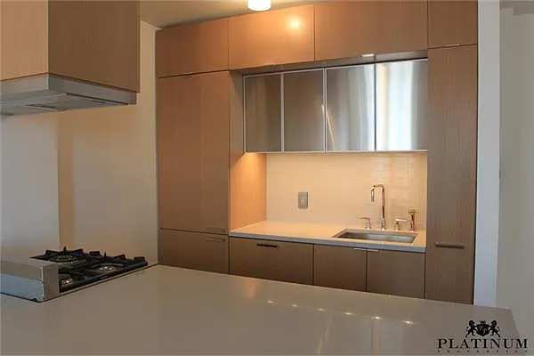 Rented by Platinum Properties | media 19