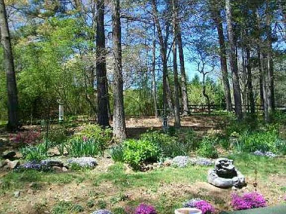 Backyard is like a private park.