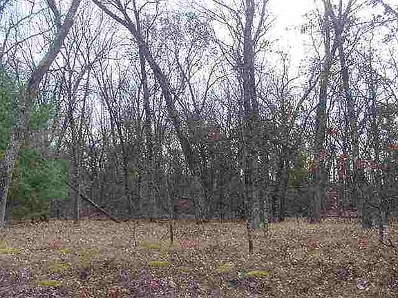 4th image of L71 Evergreen Ct