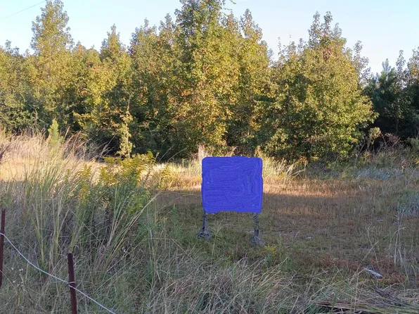 TBD Guyton Ct., Marion, SC 29571