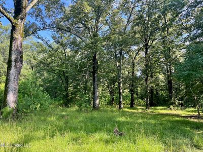 Old Highway 49 S, Florence, MS, 39073
