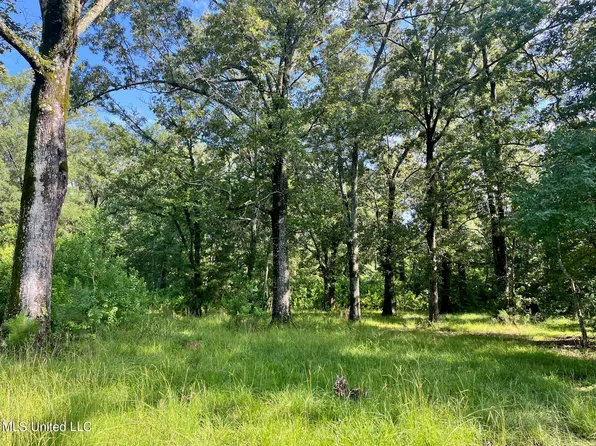 Old Highway 49 S, Florence, MS 39073