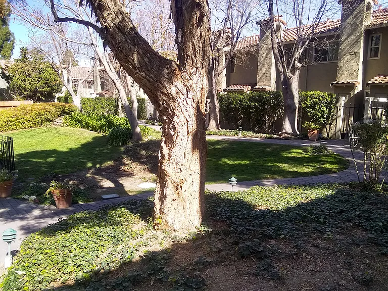 141 W Rincon Ave — Photo 6