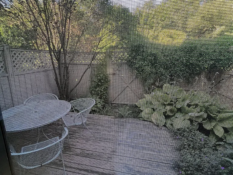 170 E Hadley Rd #133 — Photo 8