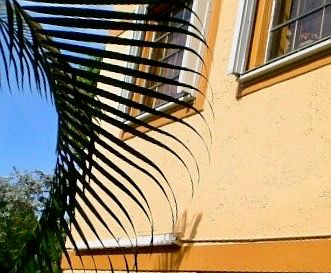 4th image of 1615 SW 122nd Ave APT 12-9