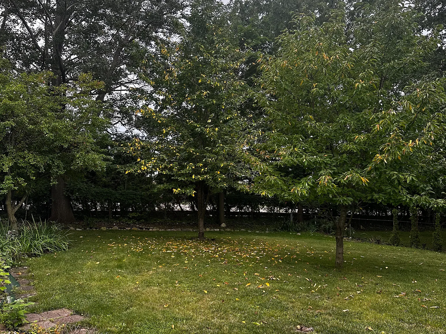 2 bed, 1.5 bath, 1250 sqft, $1,650 — Photo 3