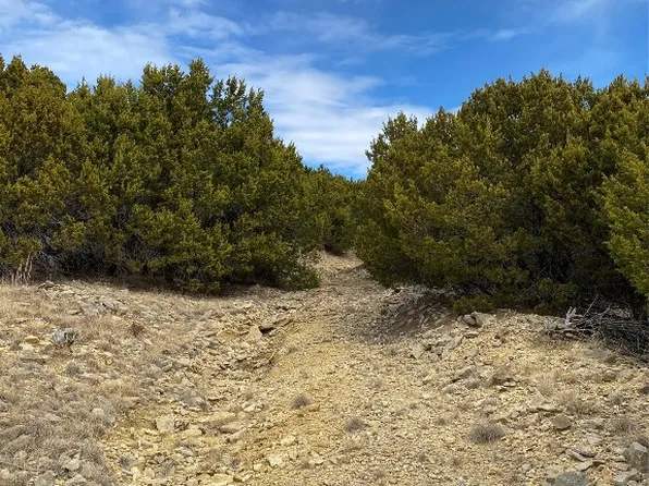 Lot217r Fire Wheel Dr, Graford, TX 76449
