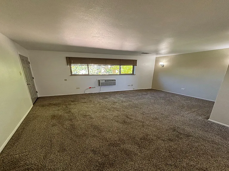 Bright and inviting living room with plush carpet, large windows, and elegant wall lighting.