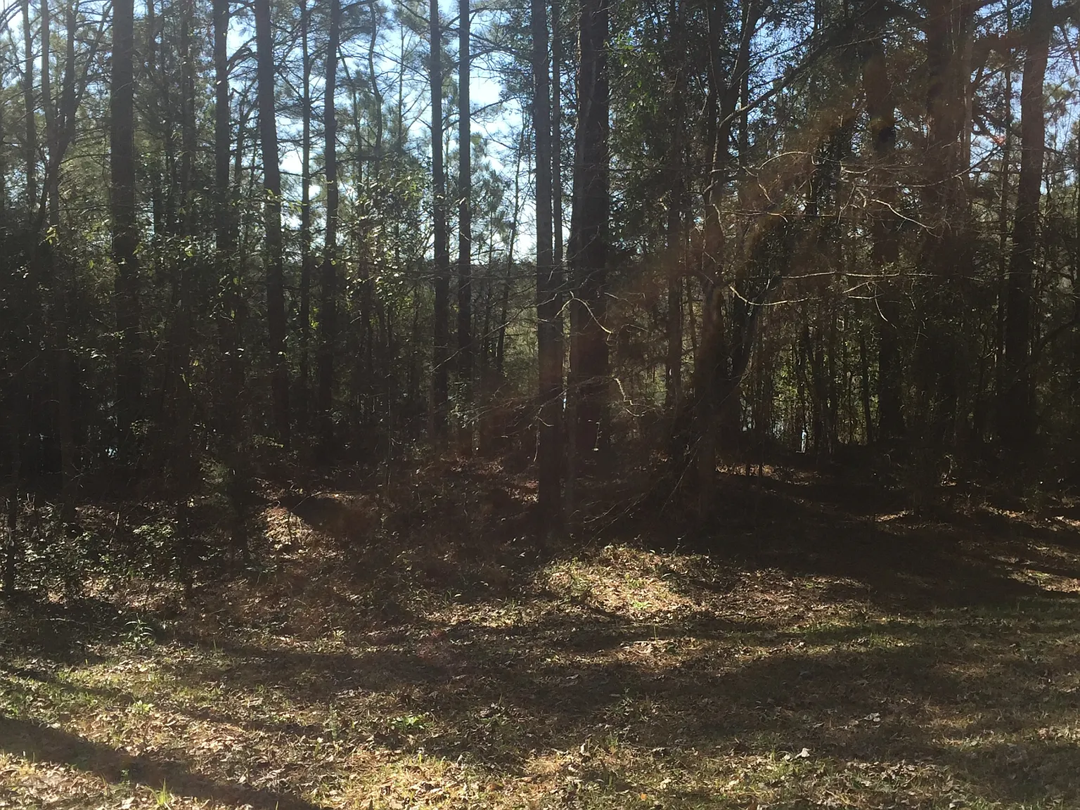1158 Burt Loop Road - 1 — Photo 2