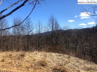 1A Johnson Farm Rd, Lansing, NC 28643