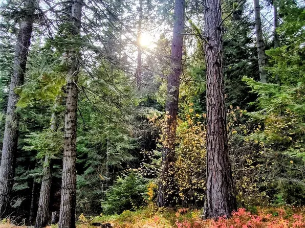 6299 Alder Ct, Wenatchee, WA 98801