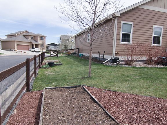 The backyard has two garden beds with blackberry and raspberry bushes along the north side of the house. Feel free to use the garden beds.