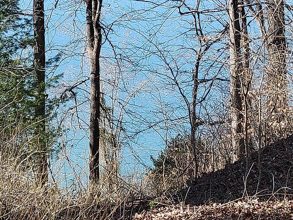 5th image of Kirkham Dr