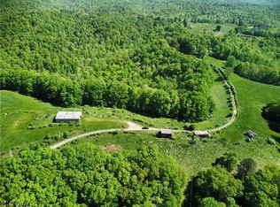 Road 5, Grantsville, WV 26147