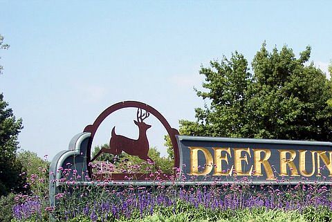 Top Rated Public Course