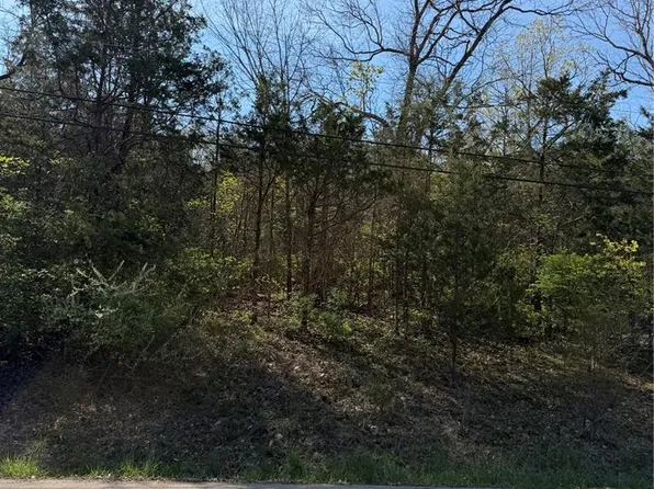 Napoleon Dr, Bonne Terre, MO 63628