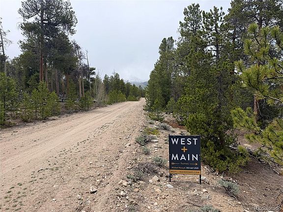 5th image of 341 Lodgepole Drive