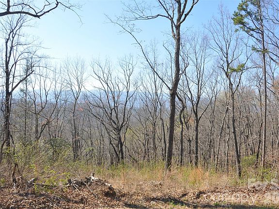 4th image of Mountain Crest Dr S #41