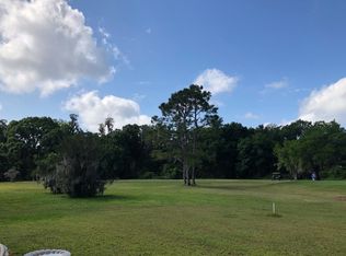 16853 Silver Shores Ln, Odessa, FL 33556