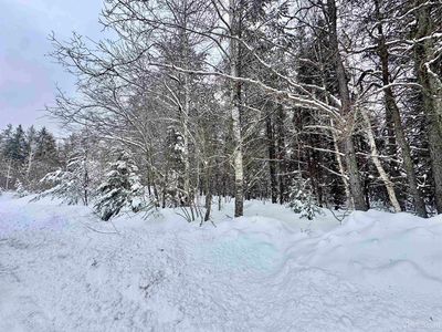 Wagon Wheel Ln, Gwinn, MI, 49841