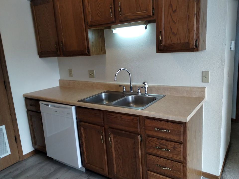 Dishwasher with double sink