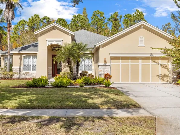 12013 Meridian Point Dr, Tampa, FL 33626
