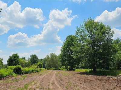 Lot 81.4 County Road 114, Cochecton, NY, 12726