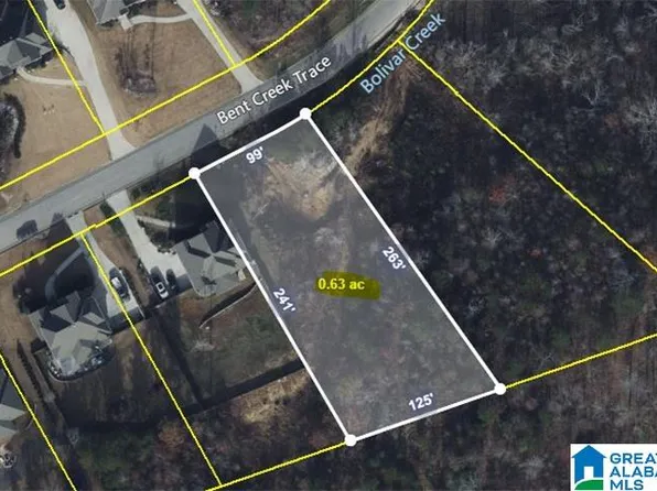 505 Bent Creek Trce #104, Chelsea, AL 35043
