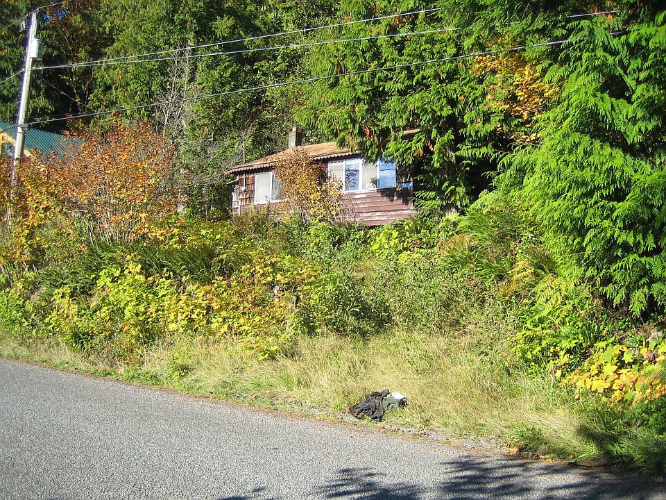 Front of cabin