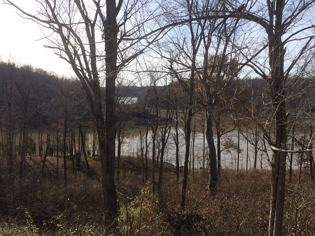 1st image of 199 Lake Vista Lane