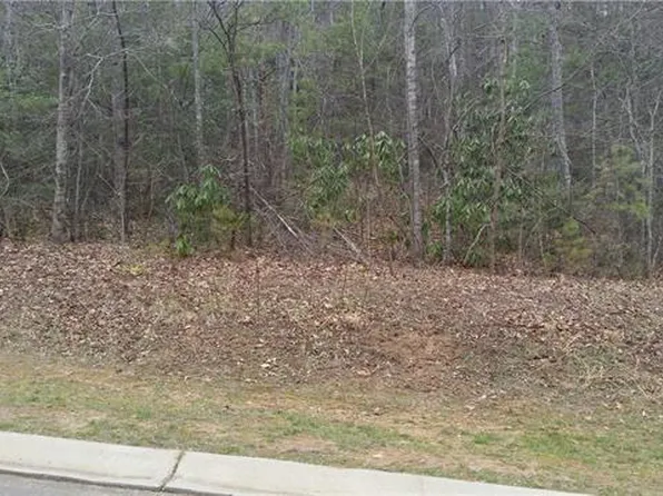 57 Old Lafayette Ln, Black Mountain, NC 28711