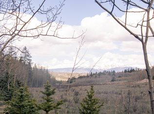 995 Bear Ln, Como, CO 80456