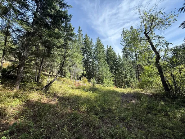 Nkn Wyant Ln, Hamilton, MT 59840