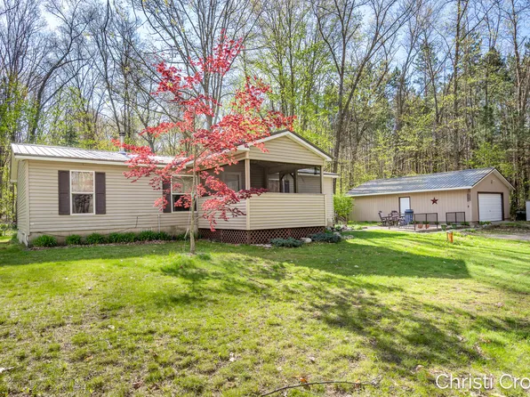 22475 Wildflower, Pierson, MI 49339