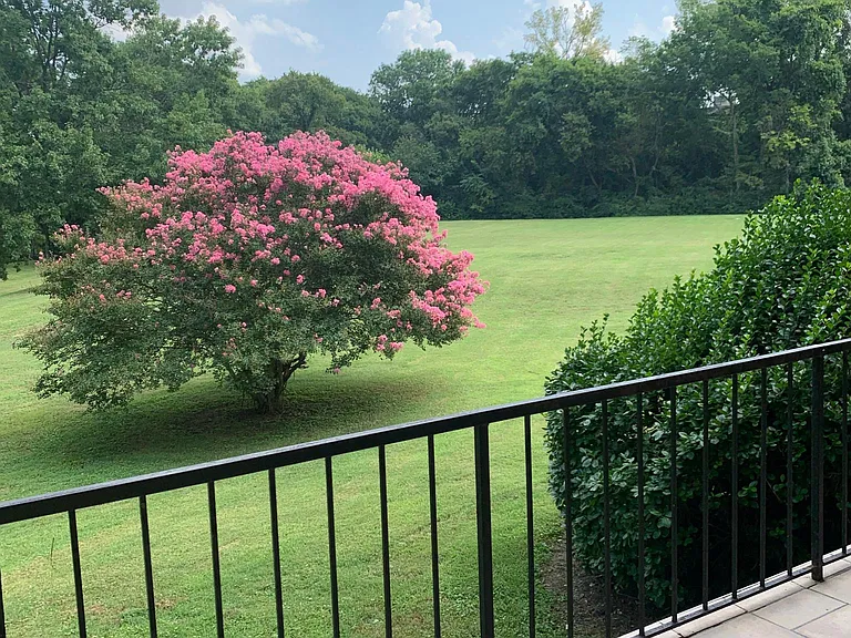 Views from private patio are spectacular!...ESPECIALLY IN THE FALL!