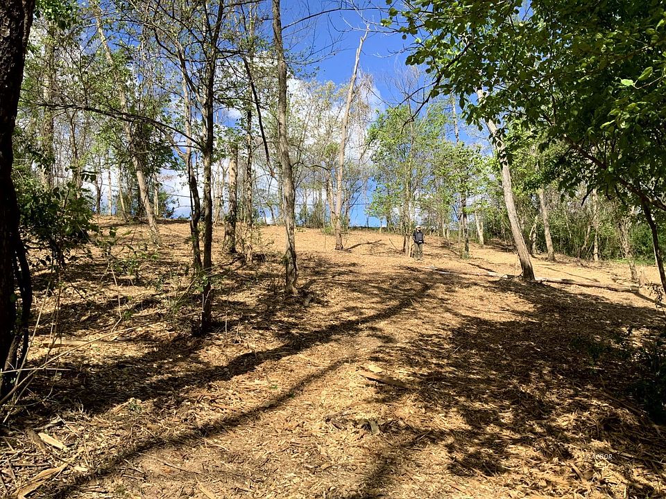 1st image of Blackburn Woods