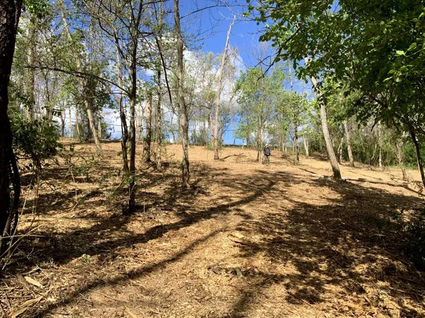 Blackburn Woods, Athens, OH 45701
