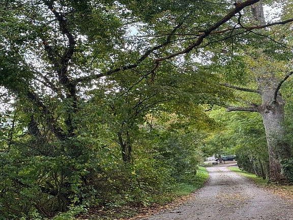 4th image of 724 Mark Dowdle Rd