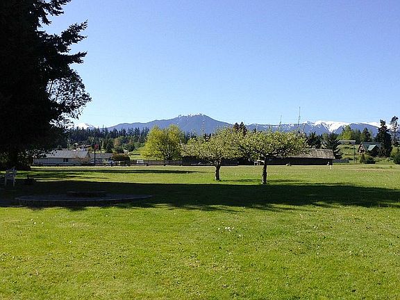 View from west side yard