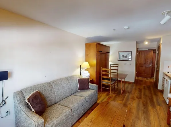 141 Rimfire Ldg, Snowshoe, WV 26209