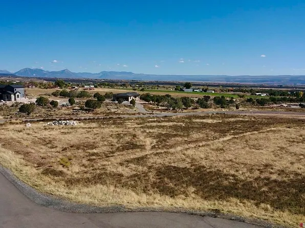 Lot 11 Pine Ridge Road, Cedaredge, CO 81413