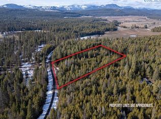 4151H Jepsen Rd, Springdale, WA 99173