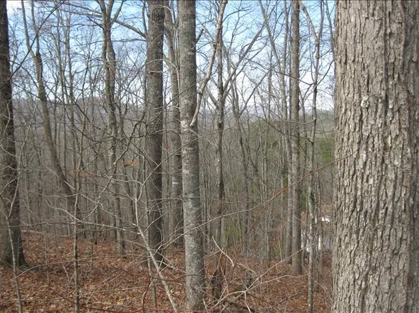 25 Scarlett Way, Young Harris, GA 30582