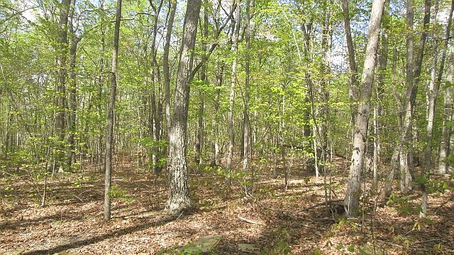 1st image of Wyatts Way Lot 3