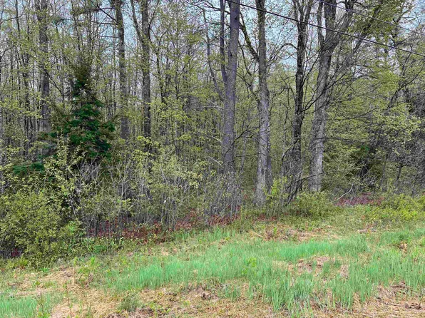 Map 202 Lot 1 NH Route 25, Ossipee, NH 03814