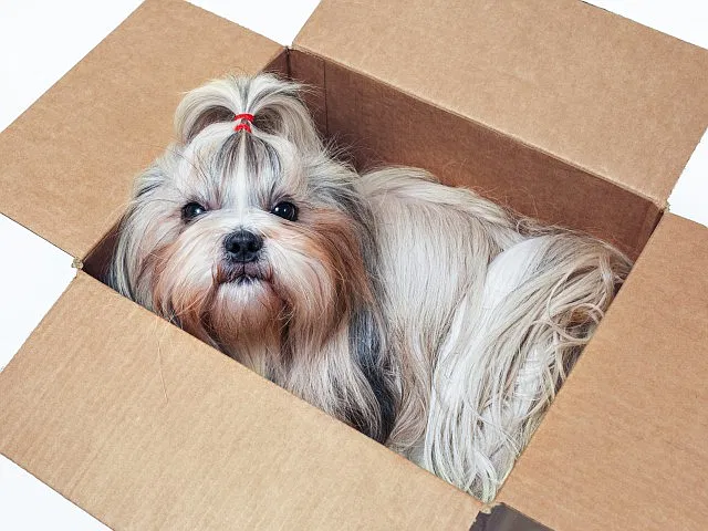 She Cant Wait to Move in!